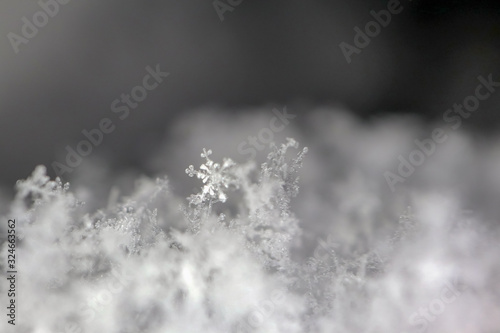 snowflake on snow macro as background © Роман Заворотный