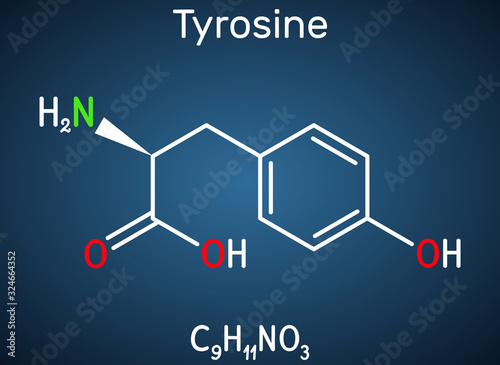 Tyrosine, L-tyrosine, Tyr,  C9H11NO3  amino acid molecule. It plays role in protein synthesis, it is precursor for synthesis of catecholamines, thyroxine, melanin. Structural chemical formula 