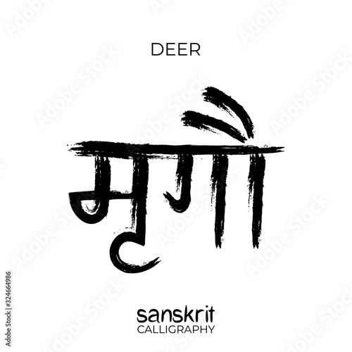 Sanskrit Calligraphy font translation: doe, deer, hind, fallow-deer. Indian grunge vector illustration