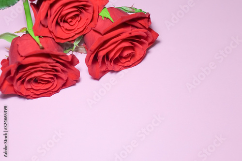 roses on a pink background with space for writing