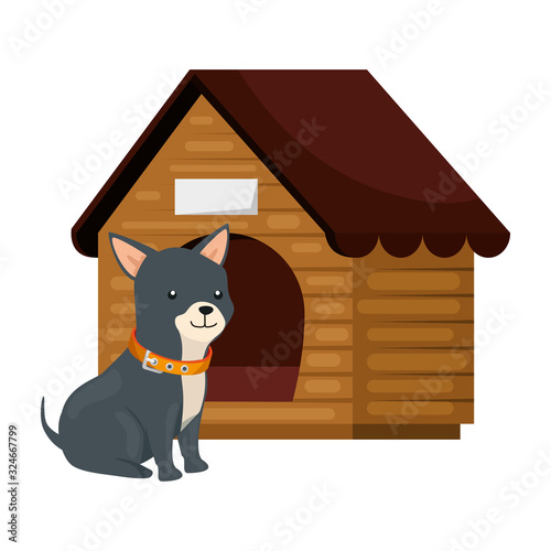 cute dog with wooden house isolated icon vector illustration design