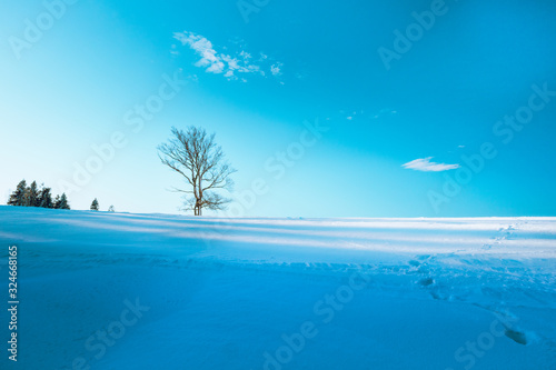 Fototapeta Naklejka Na Ścianę i Meble -  Beskidy Zimą