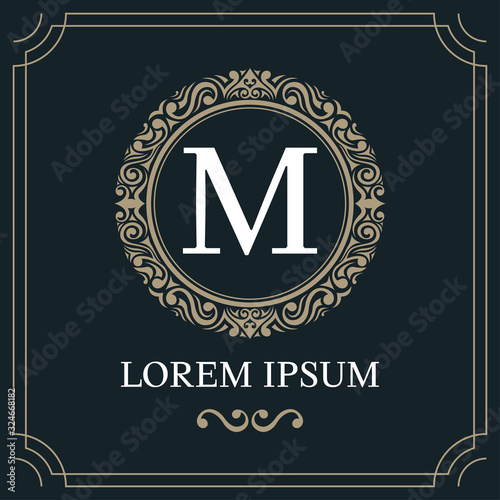 Luxury logo template, Initial letter type M on blue background, vector illustration