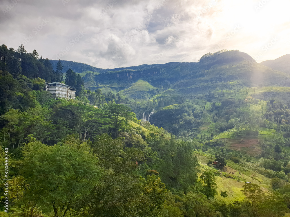 Landscape of luxurious villa and tea plantations on the slopes of mountains on tropical esland Landscape of luxurious villa and tea plantations on the slopes of mountains on tropical esland