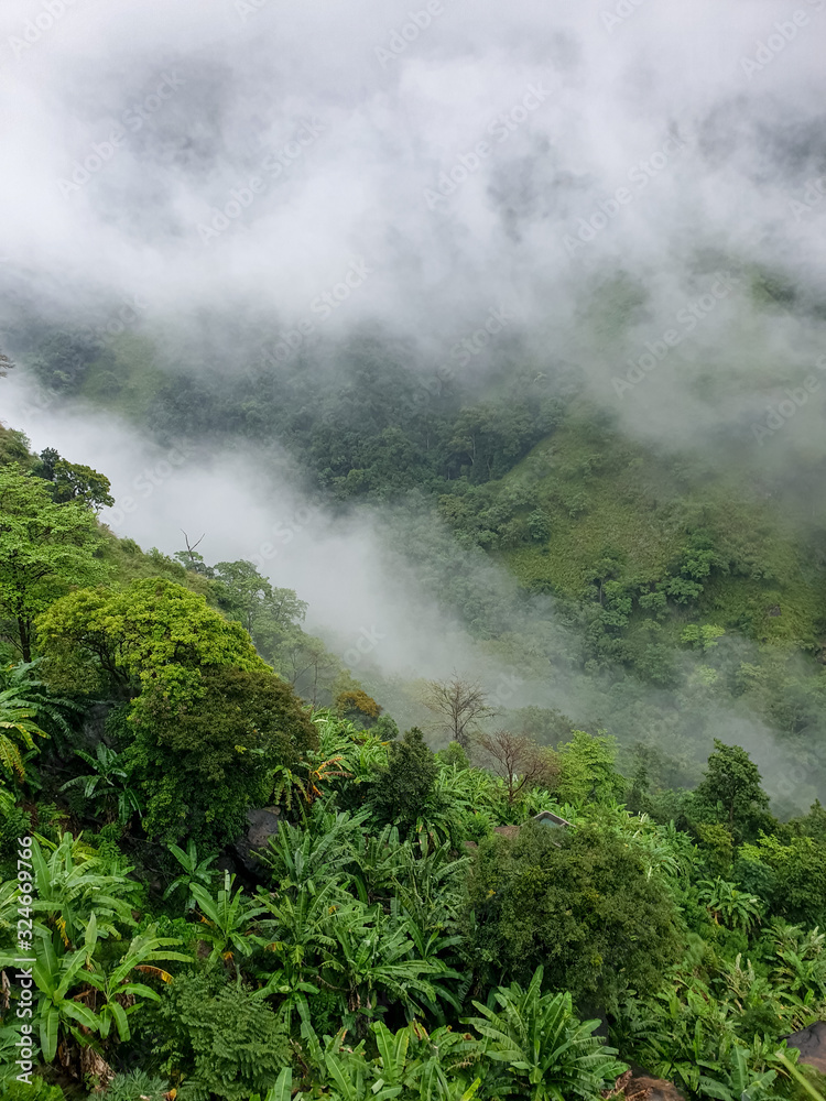 Fototapeta premium Landscape of tropical jungle forest covered with rain clouds
