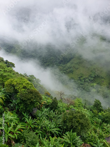 Landscape of tropical jungle forest covered with rain clouds