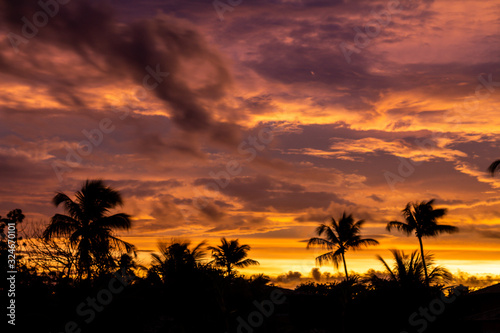 Sunset between palm trees. Golden Hour Fall of the sun with clouds painted warm colors.