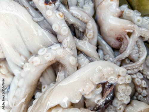 Fototapeta Naklejka Na Ścianę i Meble -  Macro disgusting photo of raw slimy octopus tentacles