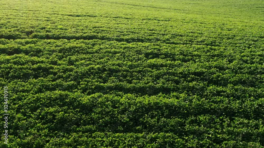 Aerial view of green field from drone pov, top view Aerial view of green field from drone pov, top view