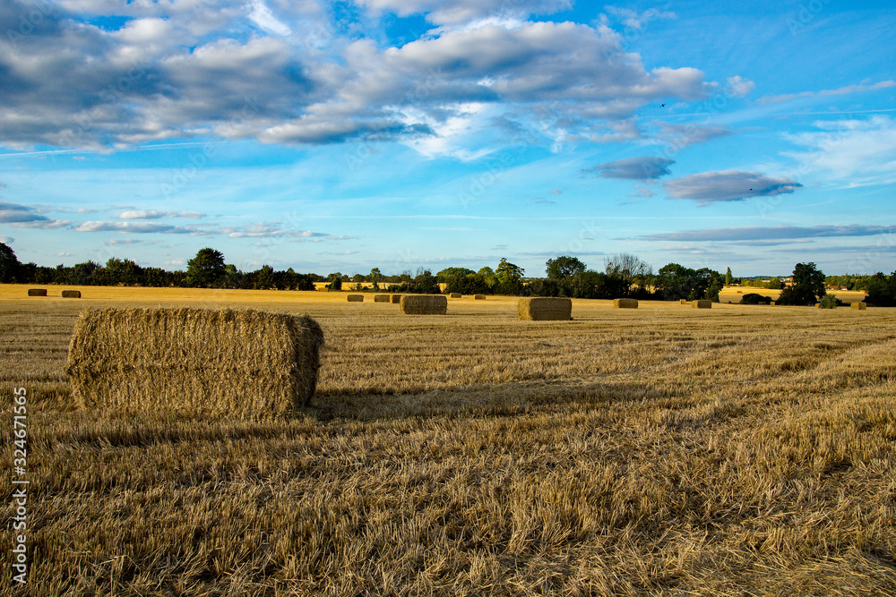 Large bales of Hay just harvested in High Wych, Hertfordshire await collection and storage for later use.  The Stubble stands high.