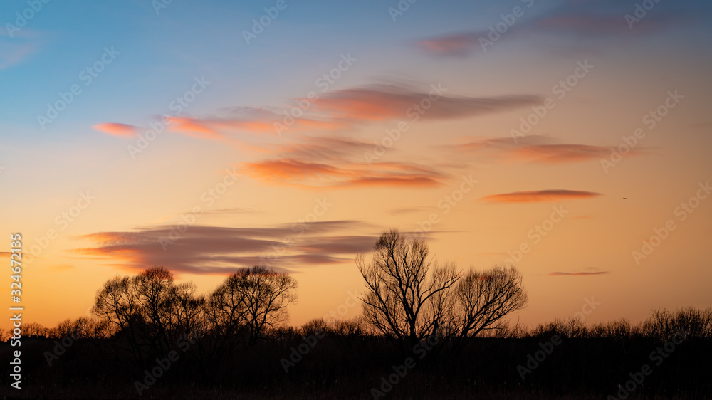 Beautiful orange winter sunset over a field with silhouettes of the bare trees and orange and blue sky. Travel destination Russia