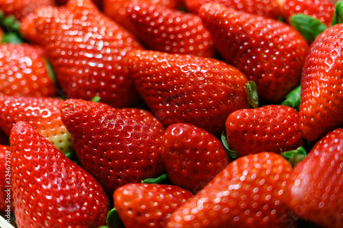 Ripe large red strawberries stacked side by side.