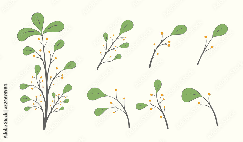 A branch with green leaves and berries and a set of small branches isolated on a light background A branch with green leaves and berries and a set of small branches isolated on a light background