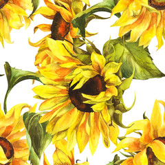 Fotobehang Geel patronen Aquarel zonnebloemen patroon witte achtergrond  © Maya