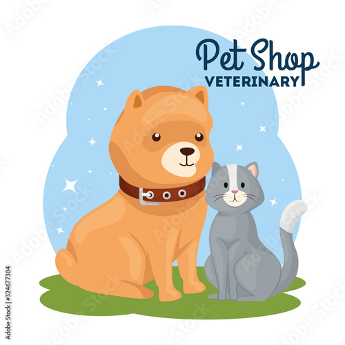 pet shop veterinary with cat and dog vector illustration design