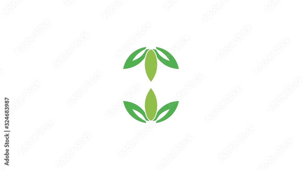 Fototapeta premium vector logo Eco Tree Leaf Template design flat style