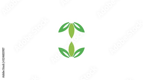 Fototapeta Naklejka Na Ścianę i Meble -  vector logo Eco Tree Leaf Template design flat style