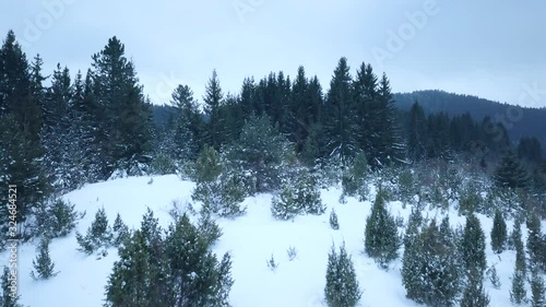 Frozen Forest Valley. Snowy Mountain Wilderness Frozen Landscape. Great Pine forest in Winter Ambient photo