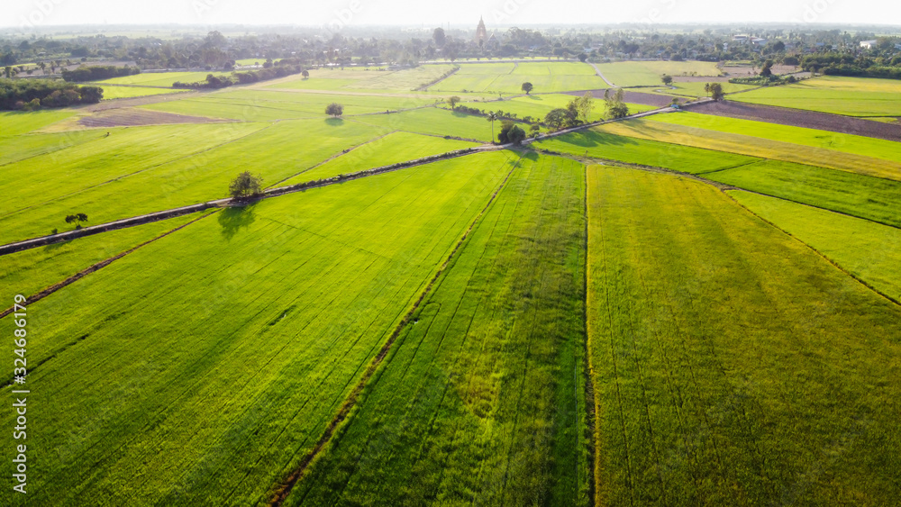 Aerial view of beautiful countryside with rice green fields.