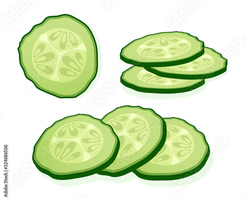 Fresh cucumber sliced slices isolated on white background. Green round piece of cucumber. Vector Illustration.
