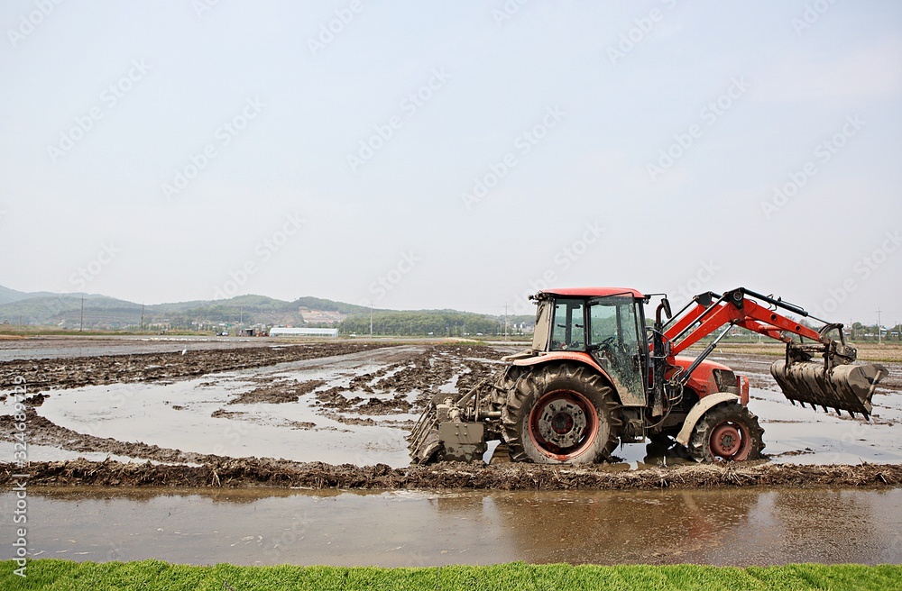 Fototapeta premium 농촌의모습입니다