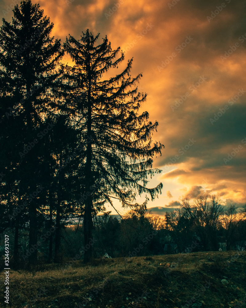 Obraz premium Silhouette Trees Against a Dramatic Cloudscape