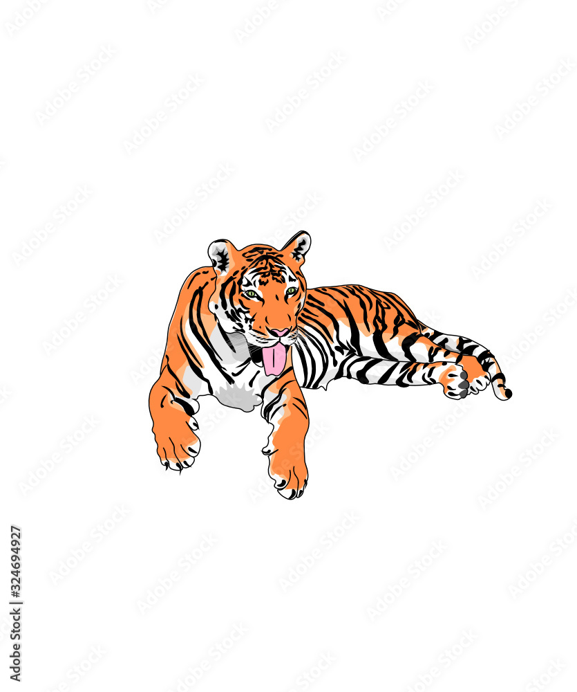 Tigre seul en train de se reposer et de tirer la langue Tigre seul en train de se reposer et de tirer la langue