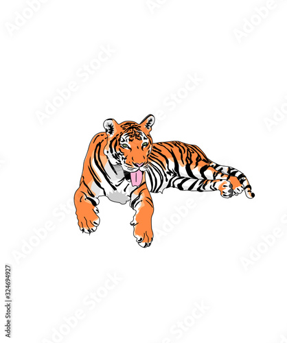 Tigre seul en train de se reposer et de tirer la langue
