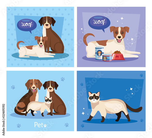 Canvas Print set poster of cute cats with dogs and icons vector illustration design