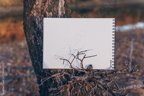 Blank greeting card. Vintage old rustic background. Wedding invitation card paper on sunshine background. Hand holding empty card in a park in sunny rays. Copy space.Mockup.