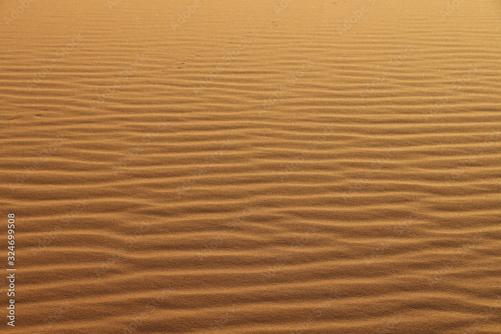 sand texture - background of desert sand dunes. Beautiful structures of sandy dunes. sand with wave from wind in desert - Close up sand texture - background of desert sand dunes. Beautiful structures of sandy dunes. sand with wave from wind in desert - Close up