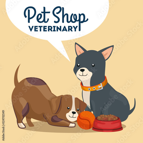 pet shop veterinary with cute dogs and icons vector illustration design