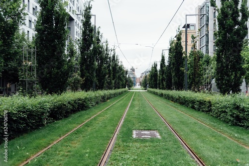 Photography In a green lawn during daytime in Oslo, Norway