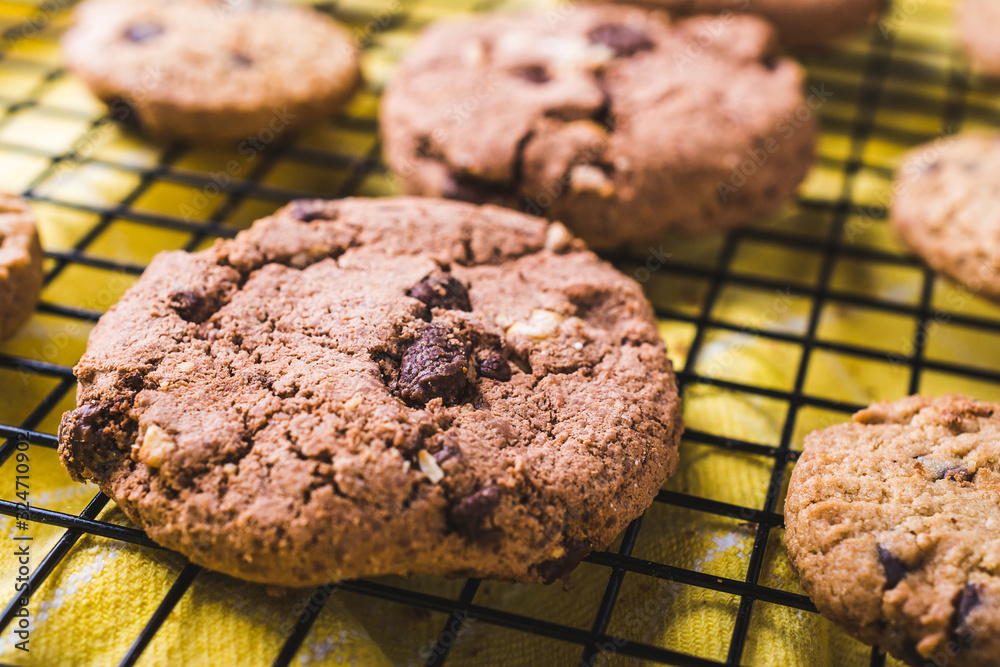 Fototapeta premium Homemade sweet chocolate chip cookies