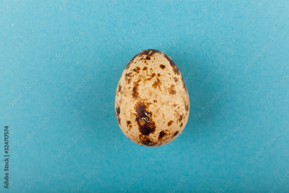Obraz premium One quail egg. Isolated on blue background.