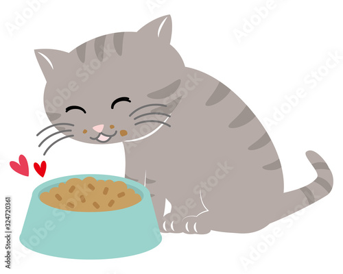 キャットフードを食べる猫　Cat eating food