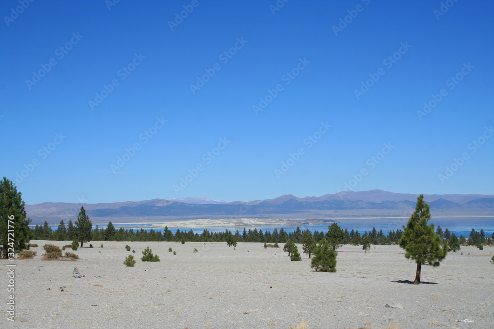 Mono Lake and the Inyo National Forest (CA 05147)