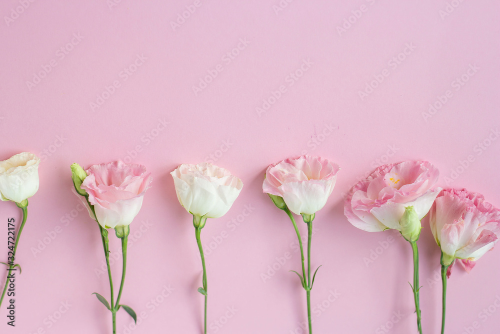 Pink delicate soft background with orchid flowers picture. Floral greeting card, springtime concept. Copy space.