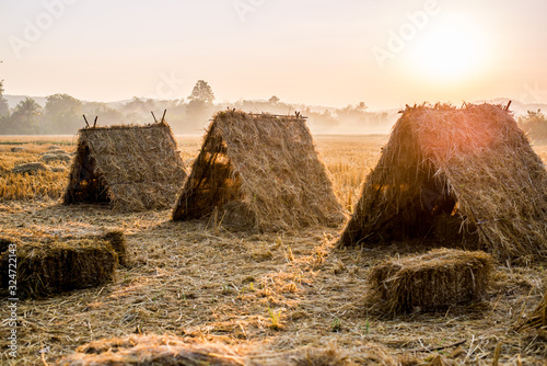 The native hut was built as a tourist accommodation and is a cottage built from rice straw used to feed animals after the harvest season