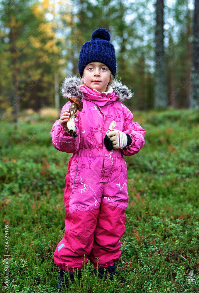 Cute little girl picking mushrooms in autumn forest, kids outdoor activities Cute little girl picking mushrooms in autumn forest, kids outdoor activities