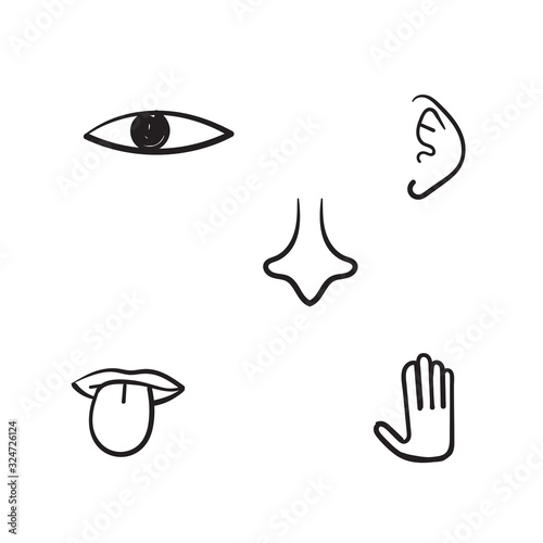 hand drawn five human sense illustration with doodle line art style
