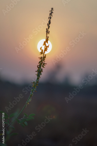 Sunrise  © Chatchawarn