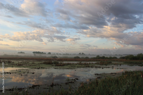 A swampy area near the village  half-submerged by spring waters in a haze of fog and in the rays of the rising sun.