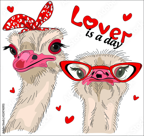 Funny ostrich in the style of pin up  in red glasses and rim. Lover is a day - lettering.  Vector illustration for t-shirts design, sweatshirt, fabric. 