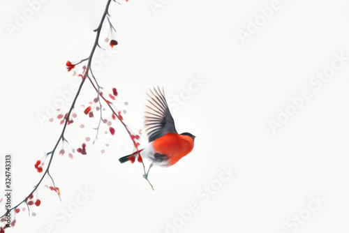 illustration of a red bullfinch taking off from a branch in the corner of the frame © Lema-lisa