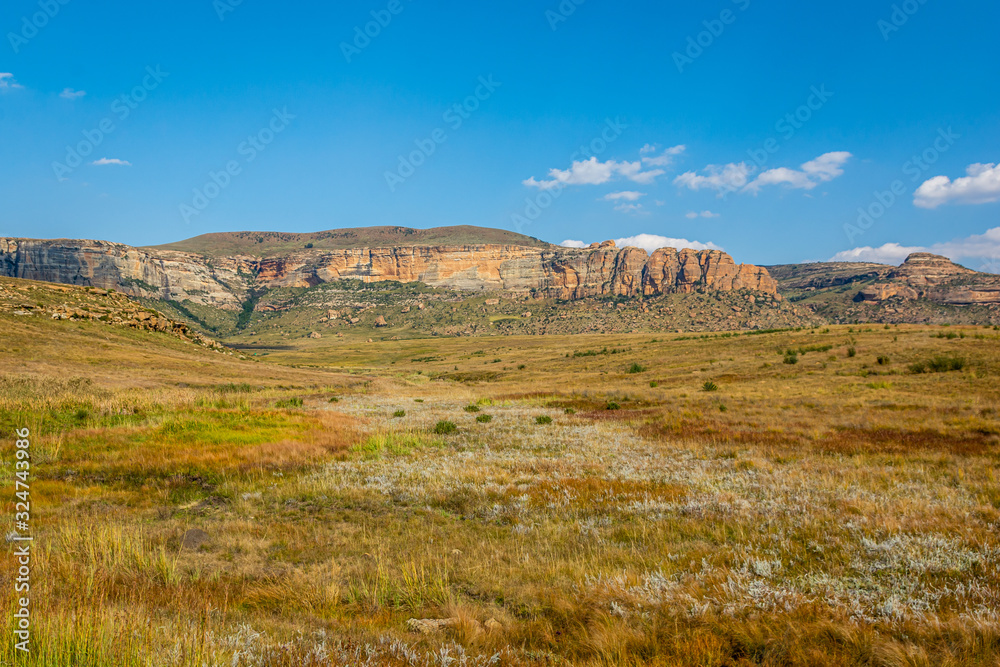 Colorful grass field in Golden Gate National Park Colorful grass field in Golden Gate National Park