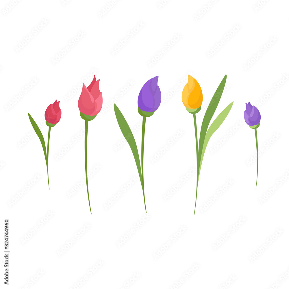 Abstract tulip set. Colorful flowers collection for greeting card, invitation, banner, sticker, flyer. Spring elements. Isolated objects on white background. Vector illustration. 