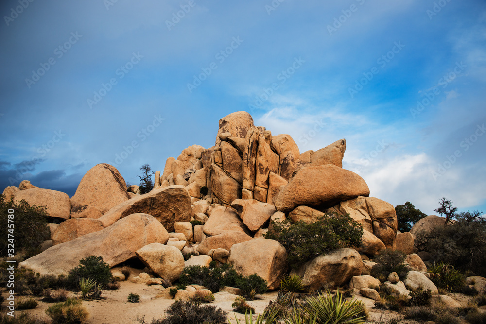 Landscape of Joshua Tree National Park, California Landscape of Joshua Tree National Park, California
