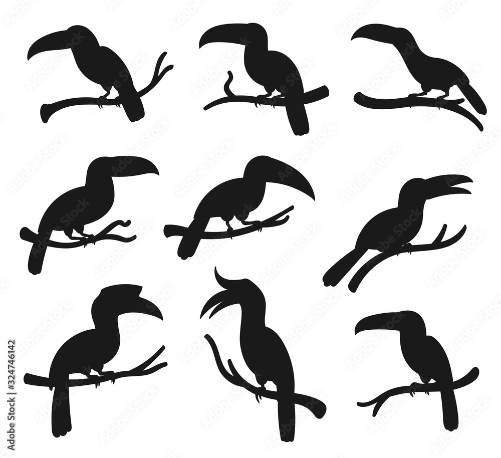 Obraz premium Exotic tropical birds, vector silhouette icons. Cartoon toucan and hornbill birds with big beaks sitting on tree branch, jungle birds and zoology park symbols
