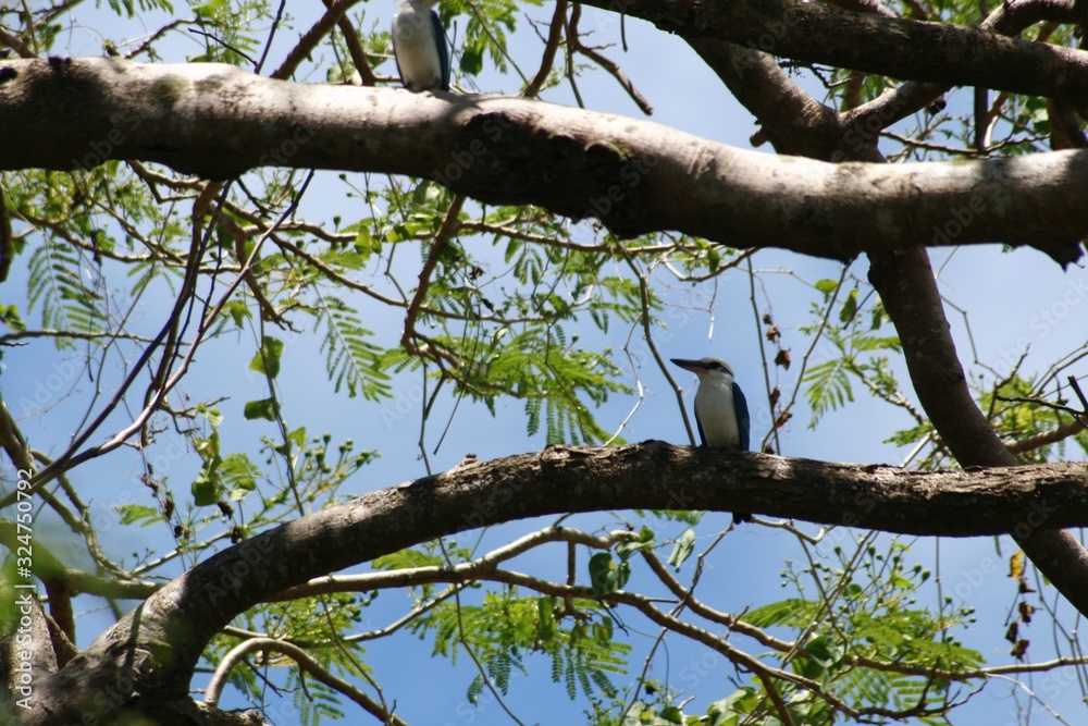 Tree branches with a bird perched on one branch Tree branches with a bird perched on one branch
